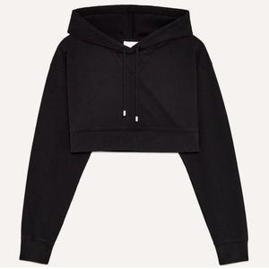 ARITZIA Wilfred Kresic Cropped Hoodie